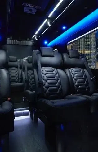41 PASSENGER MINI BUS